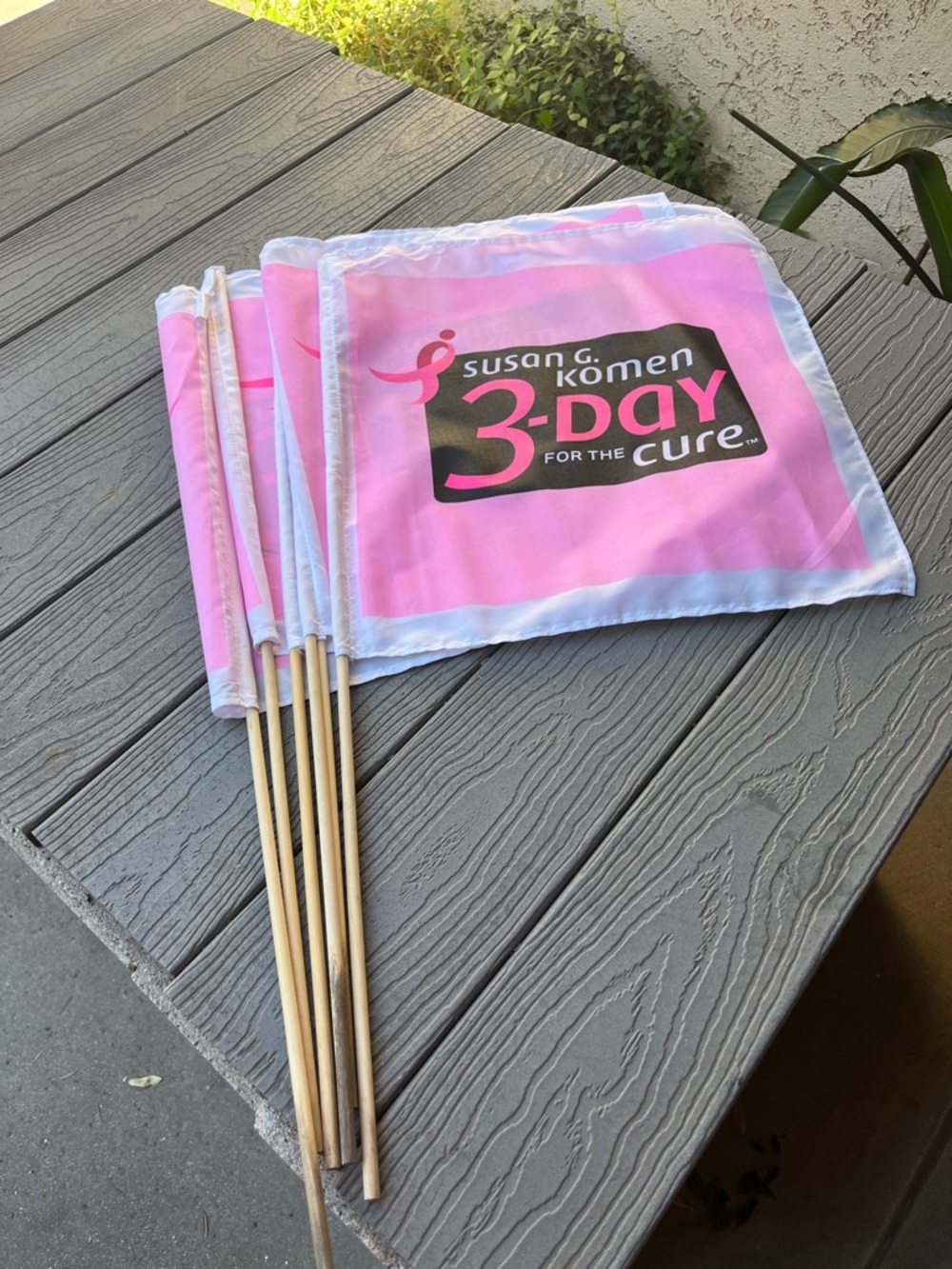 Susan G. Komen 3-Day for the Cure Pink Rally Flags (Set) of 6 flags